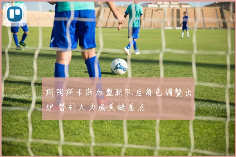 斯陶斯卡斯加盟新队后角色调整出炉 替补火力成关键看点