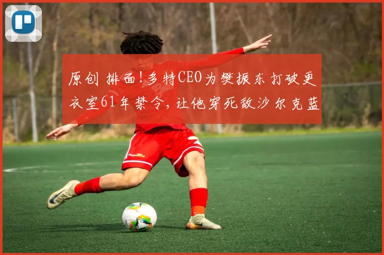 原创 排面!多特CEO为樊振东打破更衣室61年禁令,让他穿死敌沙尔克蓝色进入