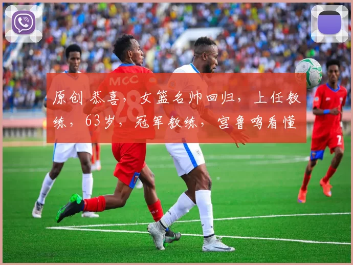原创 恭喜，女篮名帅回归，上任教练，63岁，冠军教练，宫鲁鸣看懂